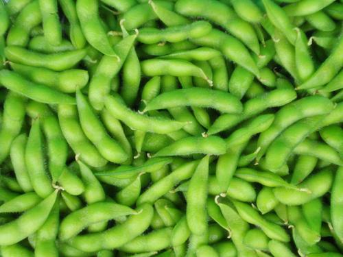 如何對(duì)速凍蔬菜進(jìn)行打包？